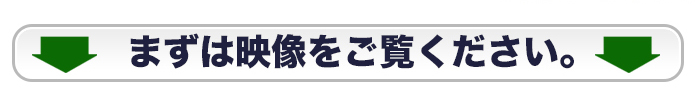 動画をご覧ください
