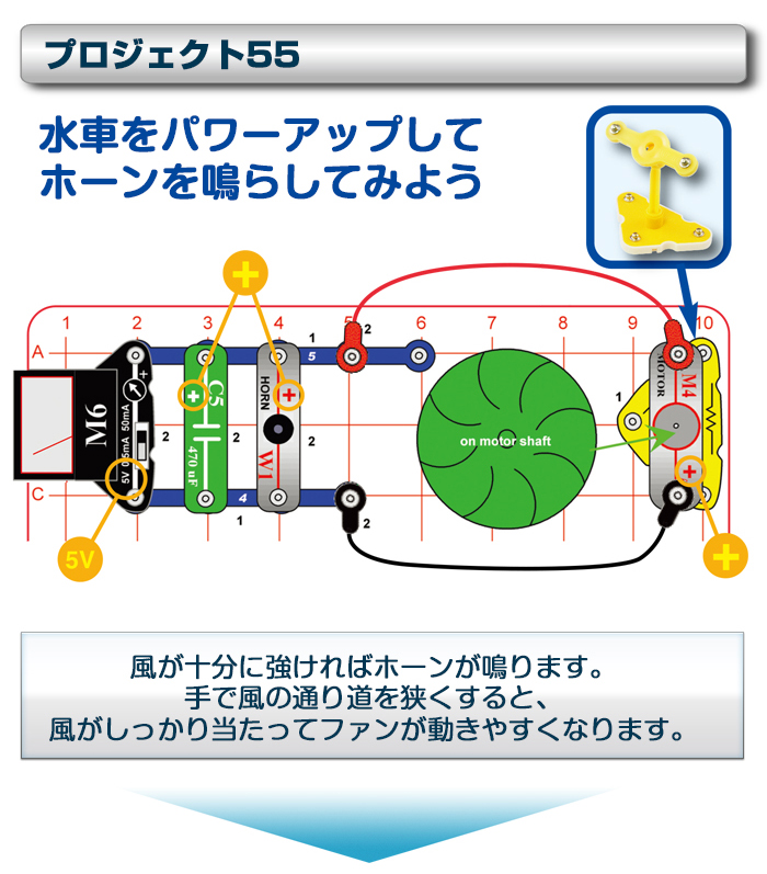 電脳サーキット エコロジー実験一例5