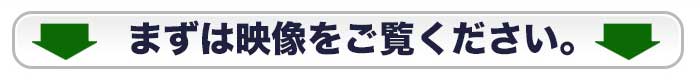 動画をご覧ください